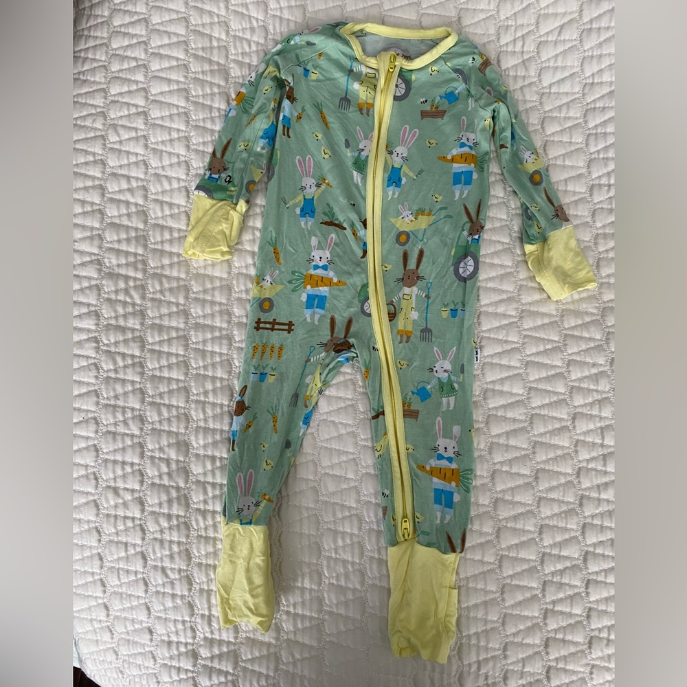 Little Sleepies 3-6M Easter “Pistachio Hop to It” Bamboo Zippy VGUC